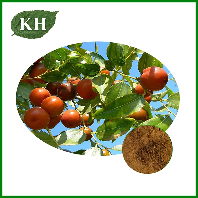 Jujube Seed Extract